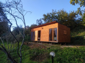 Agricampeggio la casa di Nicla Cavriglia
